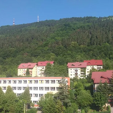 Casuta Nataliei Apartment Brasov Exterior photo