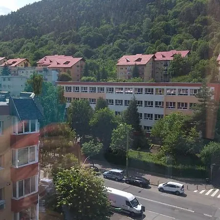 Casuta Nataliei Apartment Brasov Exterior photo