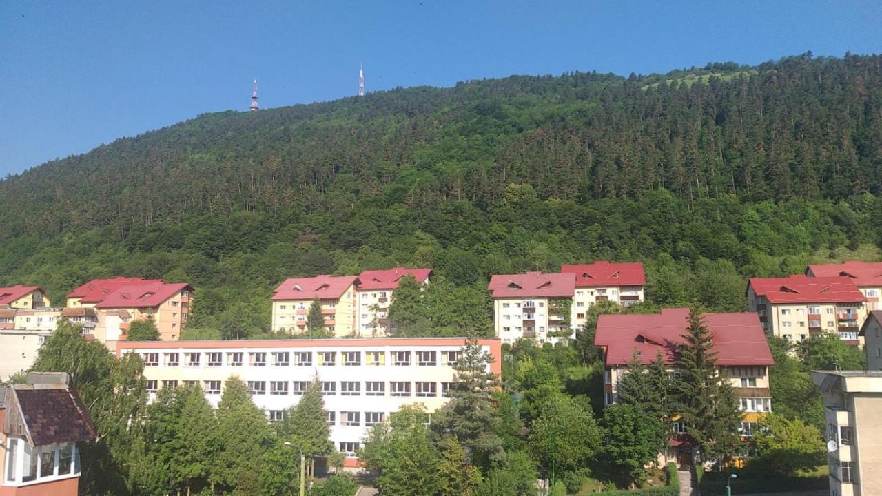 Appartement Casuta Nataliei *