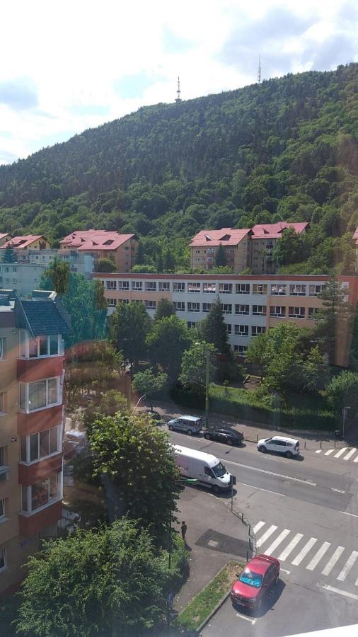Casuta Nataliei